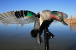 Чучело чирка , мотоутка MOJO® Elite Series™ - Green Wing Teal